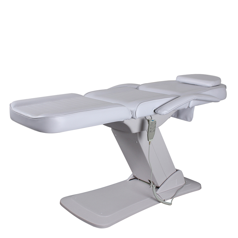 DP-8294 Professional Massage Tables