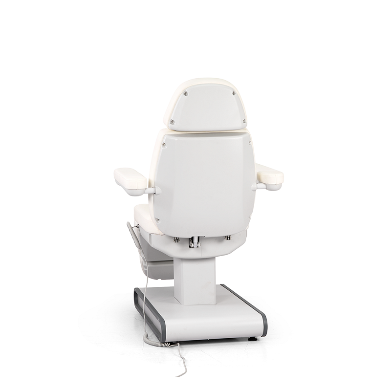 DP-L437 dongpin chair for beauty salon
